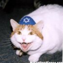 De vader & stichter van het sji’isme, de Jood Ibn Saba.