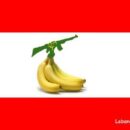 ‘Syrische dictatuur gebruikt napalm in Zabadani.’