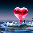 Was er vijandschap tussen Banu Hashim en Banu Ummayah?